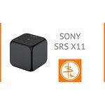 Sony SRS-X11