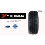Yokohama Ice Guard IG55