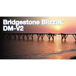 Bridgestone Blizzak DM-V2