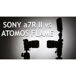 Sony Alpha ILCE-7RM2 Body