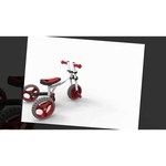 Беговел Ybike Evolve Trike