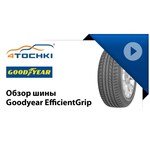 Goodyear EfficientGrip Performance