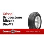 Bridgestone Blizzak DM-V1