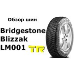 Bridgestone Blizzak LM-001