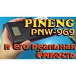 Pineng PN-969