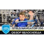 STELS Navigator 250 Gent 26 (2016)