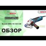 Bosch GWS 19-125 CI