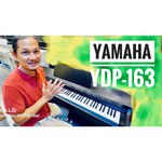 Yamaha YDP-163