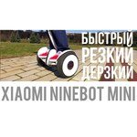 Ninebot Mini Pro