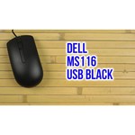 DELL MS116 Black USB