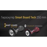 Smart Board Tech 250 mm Carbone