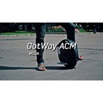 Gotway ACM 820Wh