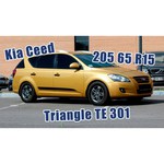 Triangle Group TE301