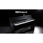 Roland DP603