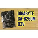 GIGABYTE GA-B250M-D3V (rev. 1.0)
