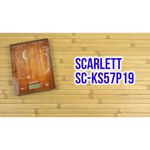 Scarlett SC-KS57P19
