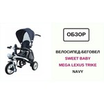 Sweet Baby Mega Lexus Trike
