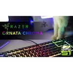 Razer Ornata Chroma Black USB