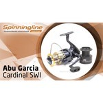 Abu Garcia Cardinal 176 SWi