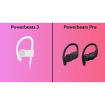 Beats Powerbeats3 Wireless