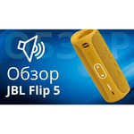JBL Flip 4 Special Edition