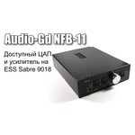 Audio-GD NFB-11
