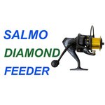 Salmo Diamond FEEDER 6 40FD
