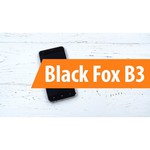 Black Fox B3