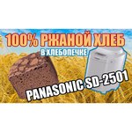 Panasonic SD-2501WTS