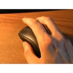 Logitech Wireless Mouse M310 Silver-Black USB