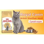Royal Canin British Shorthair Adult (10 кг)