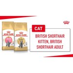 Royal Canin British Shorthair Adult (2 кг)