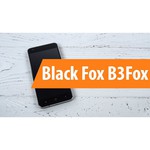 Black Fox B3Fox