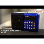 СИГНАЛ ELECTRONICS РП-222