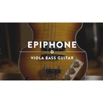 Epiphone Viola