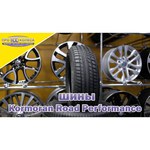 Kormoran Road Performance 205/55 R16 91V