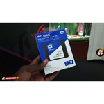 Western Digital WD BLUE 3D NAND SATA SSD 500 GB (WDS500G2B0A)