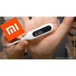 Электронный термометр Xiaomi Miaomiaoce Smart