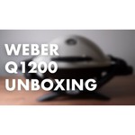 Гриль Weber Q 1200 c тележкой