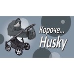 Универсальная коляска Baby Design Husky 2018 (2 в 1)