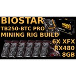 Материнская плата Biostar TB250-BTC PRO Ver. V6.3