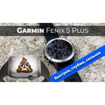 Часы Garmin Fenix 5 Plus Sapphire титановый