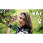 Часы Sony SmartWatch 2 SW2 (metal)