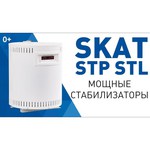 Стабилизатор напряжения БАСТИОН SKAT STL-10000