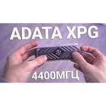 Оперативная память ADATA AX4U300038G16-DR41