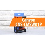 Мышь Canyon CNS-CMSW01B Black USB