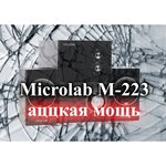 Компьютерная акустика Microlab M-500