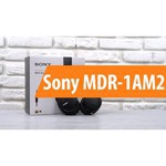 Наушники Sony MDR-1AM2