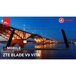 Смартфон ZTE Blade V9 Vita 2/16GB