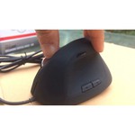 Мышь SPEEDLINK DESCANO Black USB обзоры